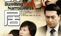 六六的电视剧,情感纠葛与时代变迁的交织